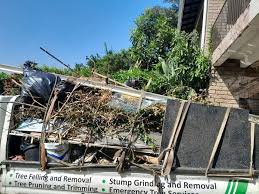 Best Electronics and E-Waste Disposal  in Litchfield, MN